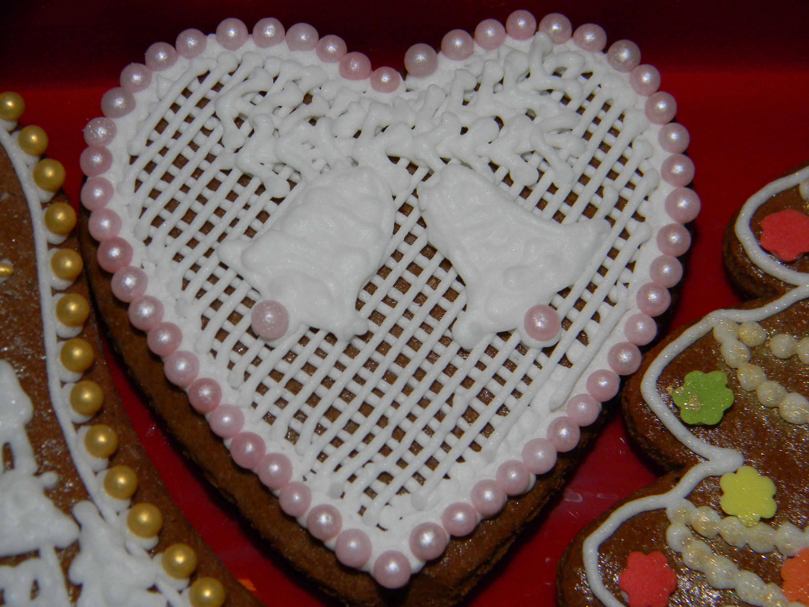 DSCN2856.JPG