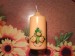 DSC01223.JPG